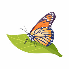 Obraz premium Monarch Butterfly with Detailed Wing Patterns Resting on a Green Leaf