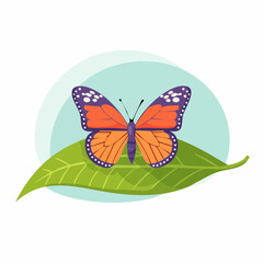 Fototapeta premium Monarch Butterfly with Purple Wingtips Resting on a Green Leaf