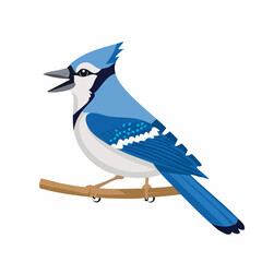 Vibrant Blue Jay Perched and Calling on a Branch