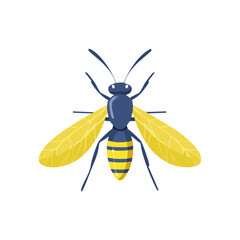 Blue and Yellow Striped Wasp with Spread Wings