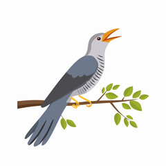 Common Cuckoo Perched on Branch Singing Loudly