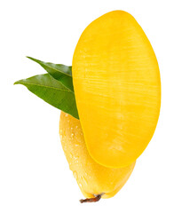 Single ripe yellow mango and half with green leaves and water droplets in stack isolated with clipping path in png file format