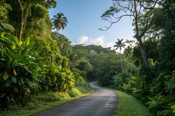 Winding asphalt road curves through lush green tropical rainforest with palm trees and blue sky