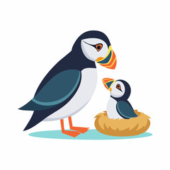 Obraz premium Adult Atlantic Puffin Watching Over Baby Chick in Nest