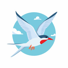 Obraz premium Graceful Tern in Flight Against a Blue Sky with Clouds.