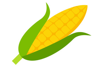 Yellow Corn Cob With Husk On White Background