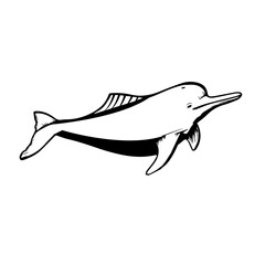 simple icon Dolphin vectors illustration