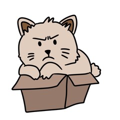 illustration of cartoon cat