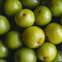 Obraz premium generate a closeup of a greengage with natural lighting and trending seo optimized