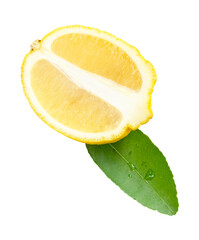 Front view of ripe yellow lemon fruit in slice and ellipse or oval half with one green leaf...