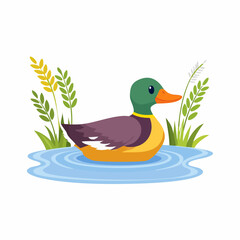 Obraz premium Colorful Duck Floating on Water with Green Head and Orange Beak