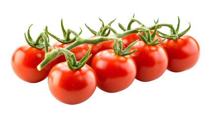 Fresh ripe red cherry tomatoes on the vine isolated on white background