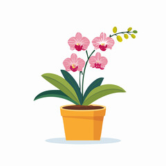 Vibrant Pink Orchid Plant in a Decorative Yellow Pot, Blooming Beautifully