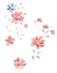 Vintage Red Rose Watercolor Flower