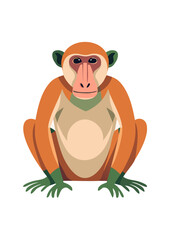 Flat Vector Illustration of a Proboscis Monkey
