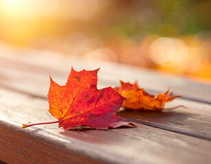 Close-up of red and orange autumn leaves on wooden park bench, soft sunlight, peaceful scene