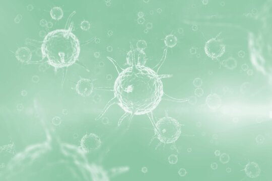 Three dimension image of pathogen