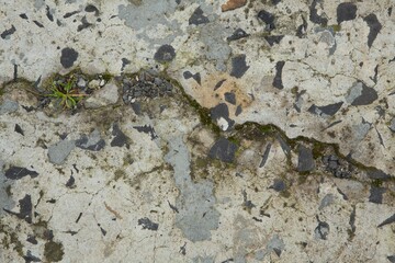 Old weathered wall, Close-up