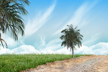 Road leading out to the horizon