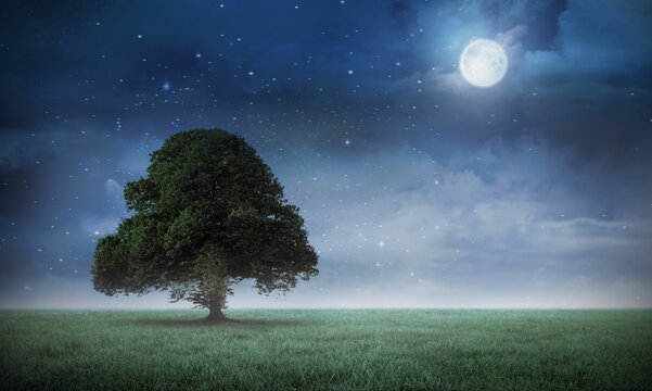 Solitary broad-leafed tree standing in flat design meadow under full moonlit starry sky with clouds