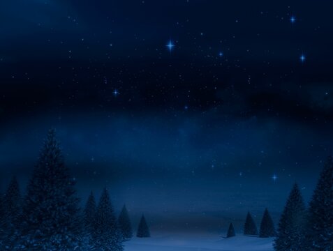 Fototapeta Digitally generated Night sky over forest