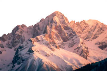 Let me know if you'd like shorter or more poetic versions