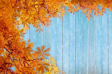 Fototapeta premium Flat design is showing golden autumn leaves and dark branches against weathered blue wooden planks
