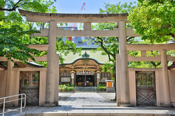 Obraz premium 坐摩神社の紫陽花