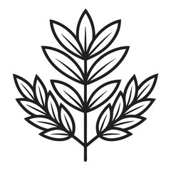 black and white flower isolated