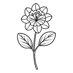 abstract flower vector illustration