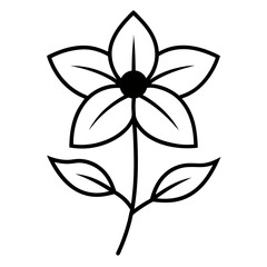 black and white flower