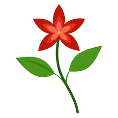 madder flower isolated on white background