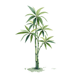 Fototapeta premium Bamboo Plant Illustration with Lush Green Leaves on Transparent Background