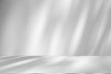 Wall interior background, studio and backdrops show products.with shadow from window color white and grey. background for text insertion and presentation product	