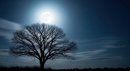 A solitary tree silhouetted against a brilliant full moon on a clear night sky