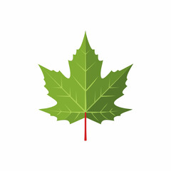Vibrant Green Maple Leaf with Red Stem, Detailed Vector Illustration