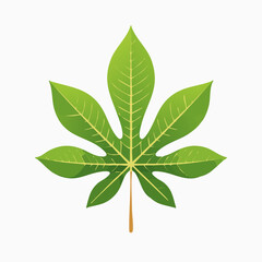 Vibrant Green Cassava Leaf with Detailed Veins and Stem Illustration