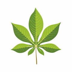 Detailed Green Leaf with Veins and Brown Stem, Botanical Illustration.