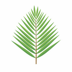 Symmetrical Green Palm Leaf with Detailed Veins and Stem