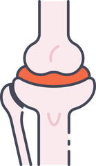 Joint Icon Illustrations