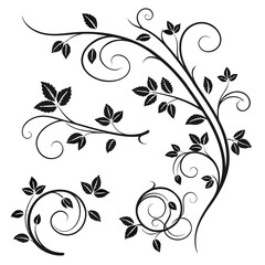 Black floral vine and leaf decorative elements ornamental