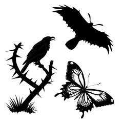 Black silhouettes of a raven butterfly and bird wings white