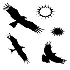 Black silhouettes of eagles and abstract starburst shapes bird flying