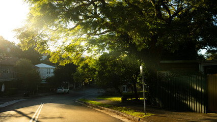 Obraz premium Sunset in Sydney