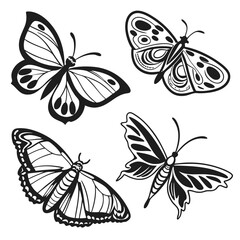 Four black butterfly moth silhouettes detailed wing patterns white