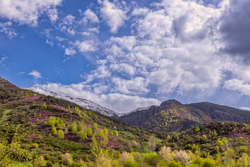 Spring landscape. The last snows on the peaks and slopes are full of spring colors.