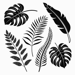 Obraz premium Tropical foliage silhouettes monstera palm fern leaves tropical leaves jungle leaves