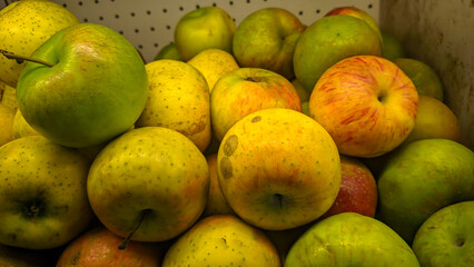 A vibrant display of fresh apples in varying hues, offering a delightful taste of nature's bounty