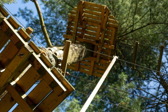 Platform in a tree on a forest adventure obstacle course, with defocused trees, and sunshine,  abstract backdrop