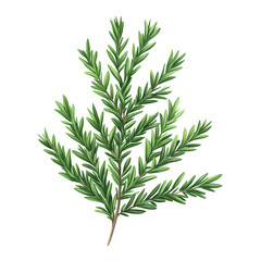 Fototapeta premium A vibrant green sprig illustrating the beauty and detail of a fresh pine branch showcasing nature's elegance.